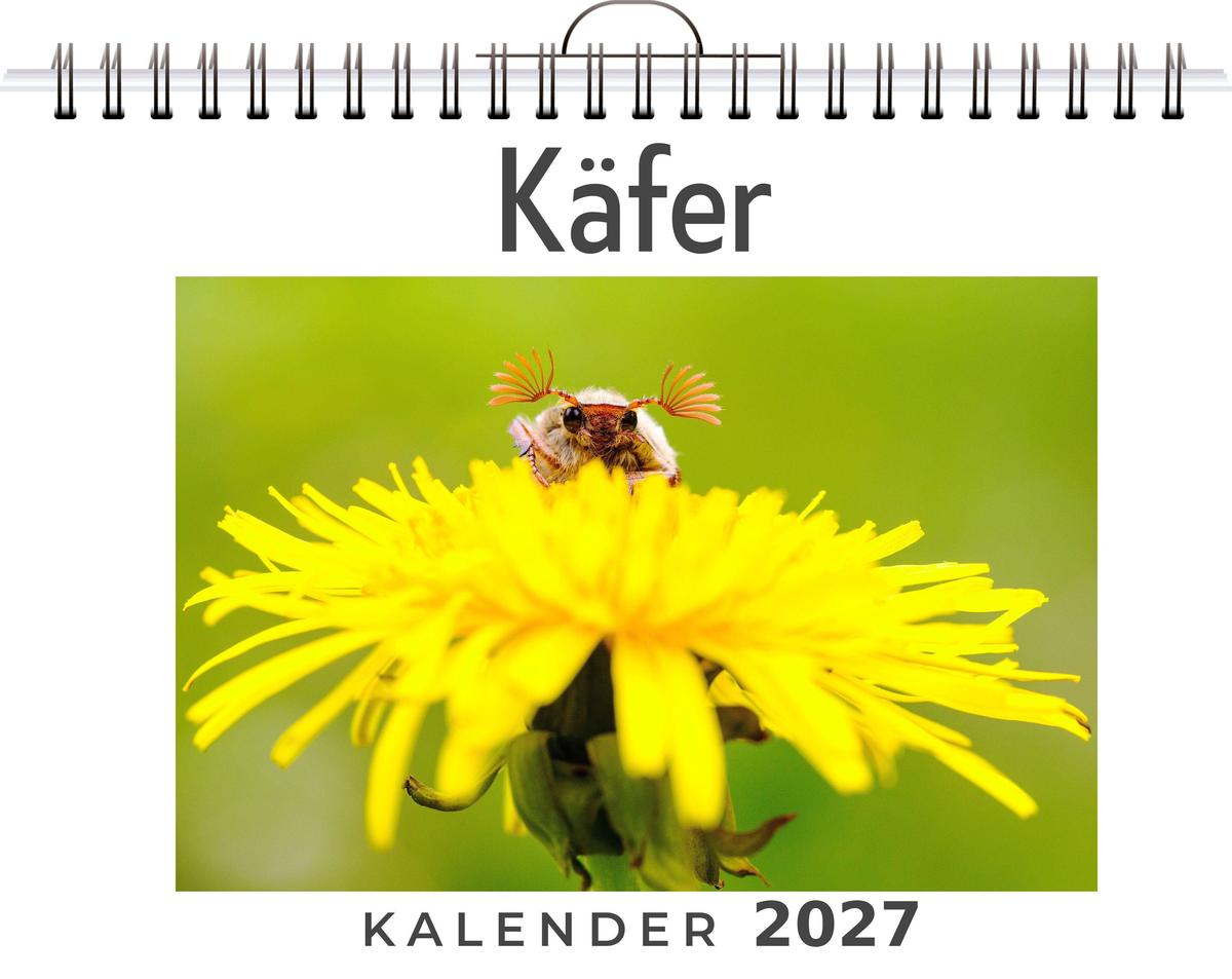 Käfer