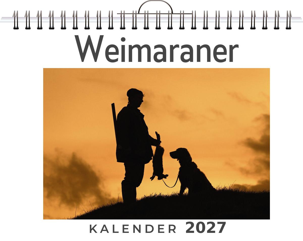Weimaraner