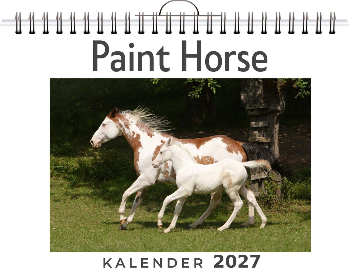 Paint Horse