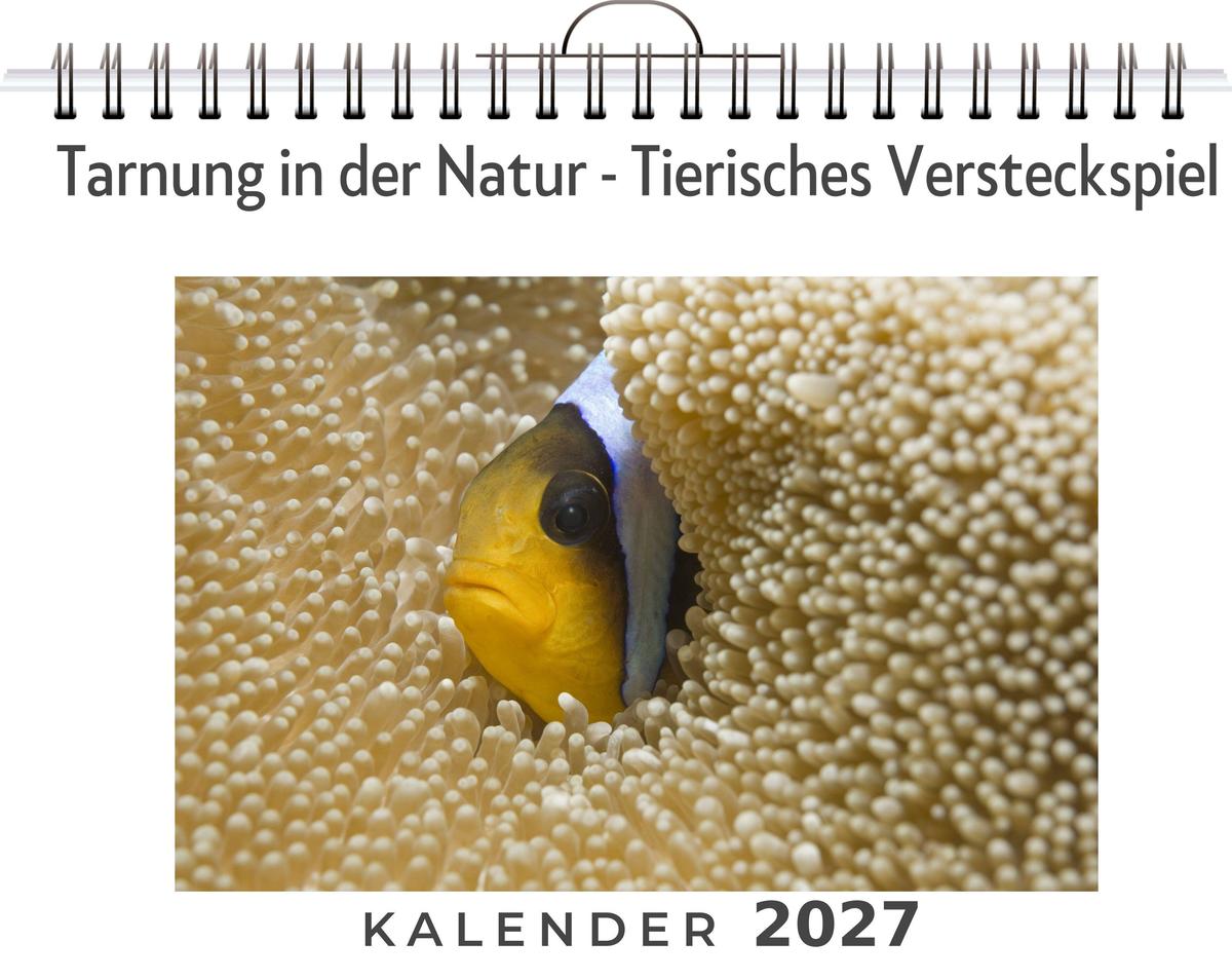 Tarnung in der Natur - Tierisches Versteckspiel
