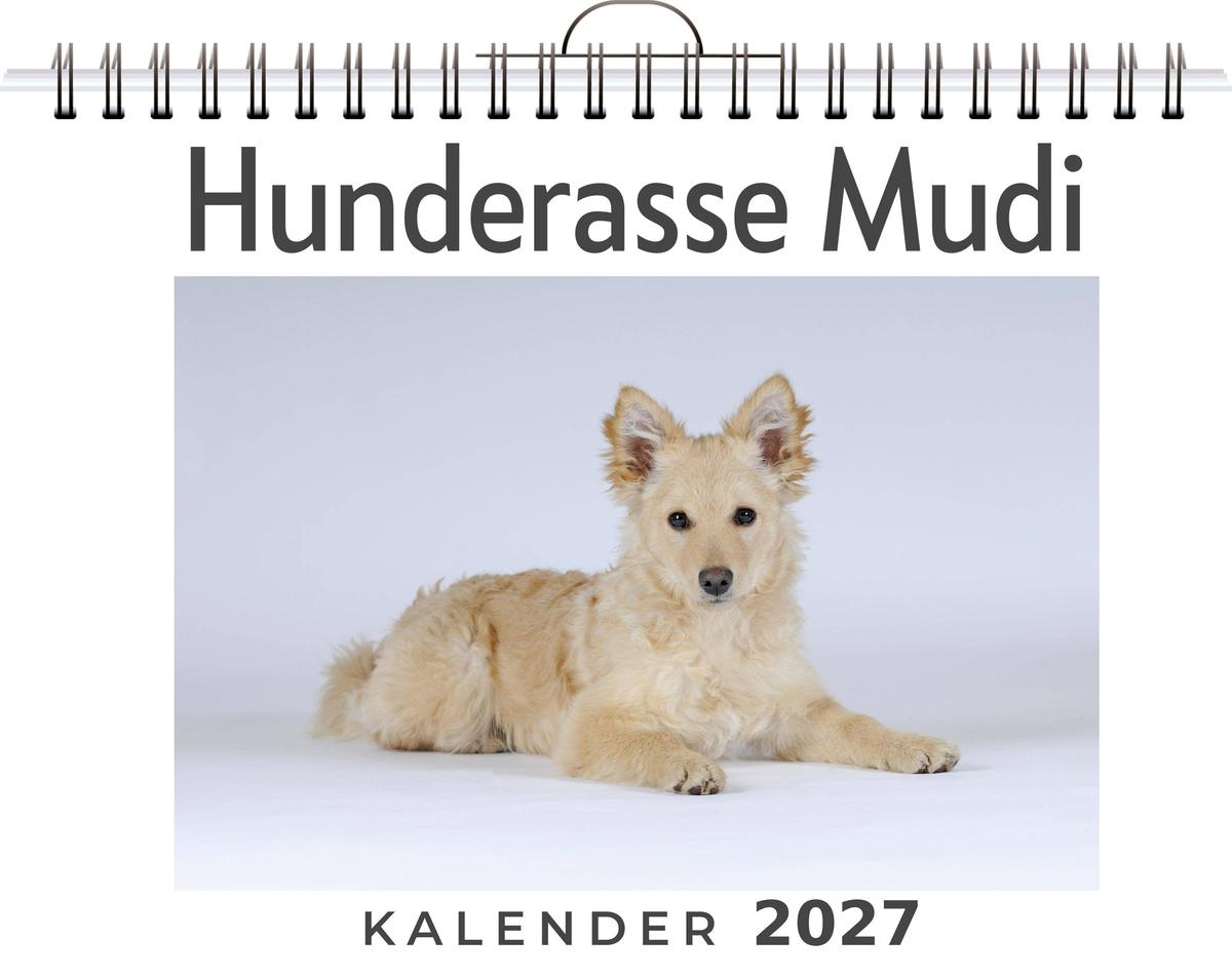 Hunderasse Mudi