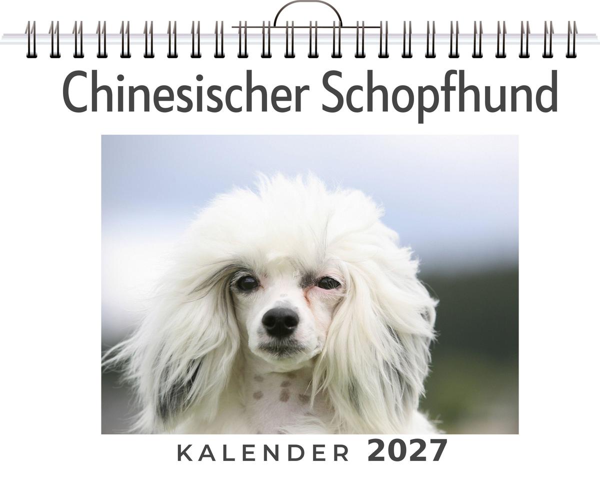 Chinesischer Schopfhund