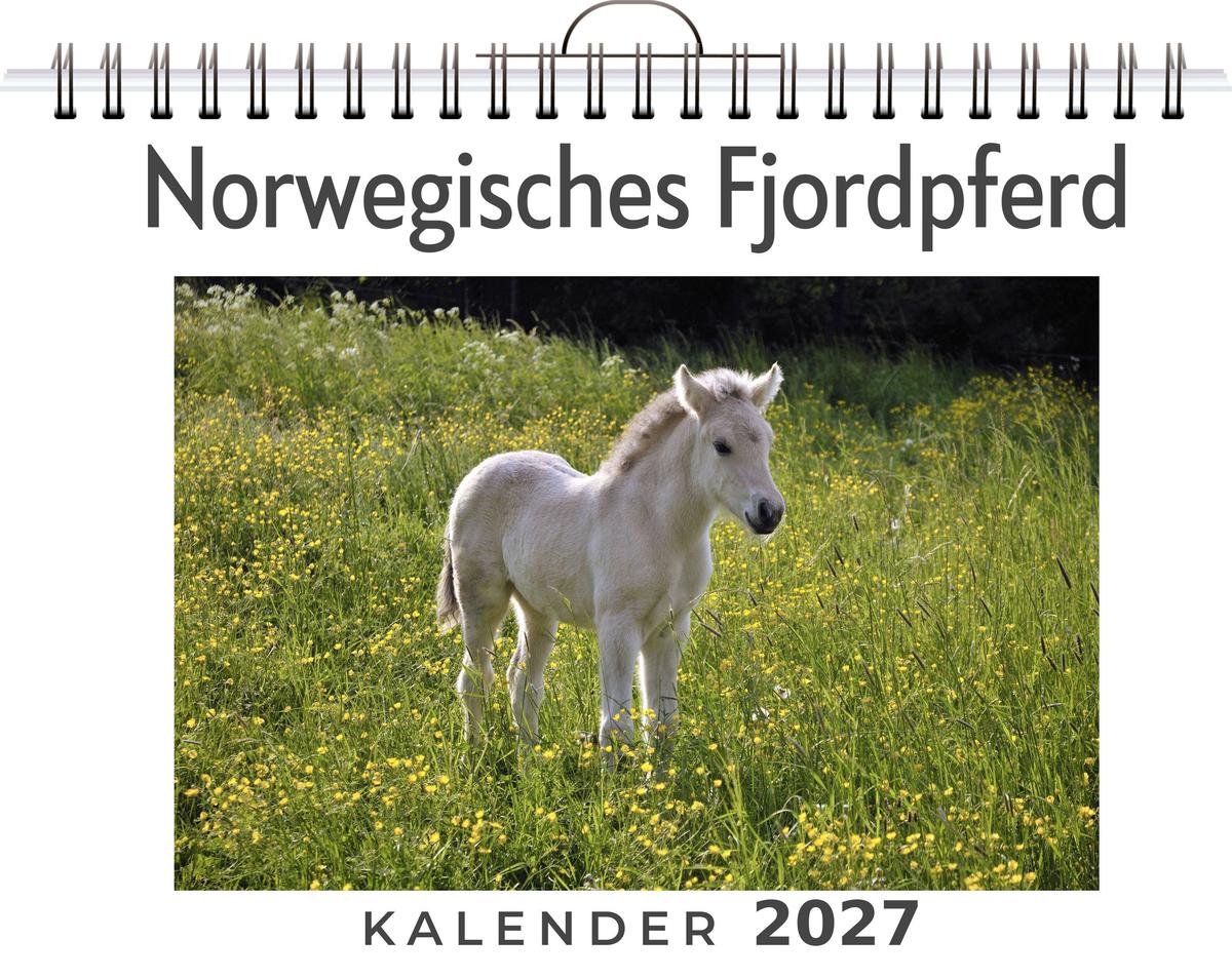 Norwegisches Fjordpferd