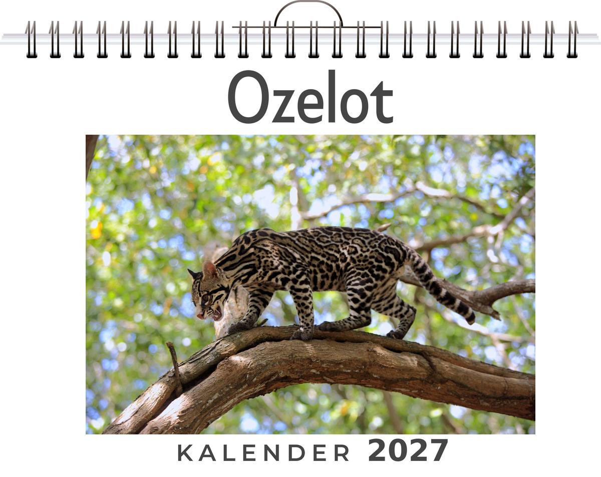 Ozelot