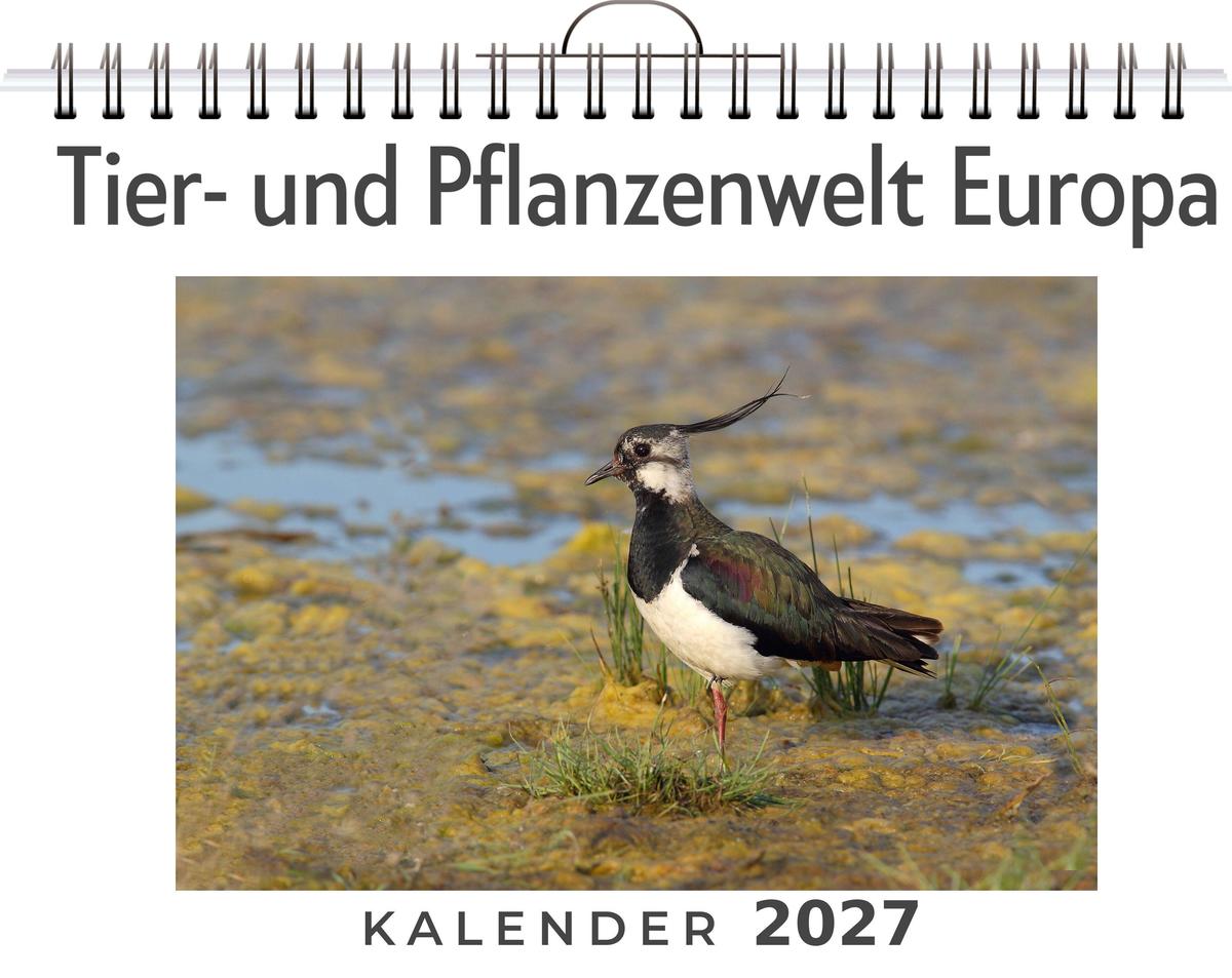 Tier- und Pflanzenwelt Europa