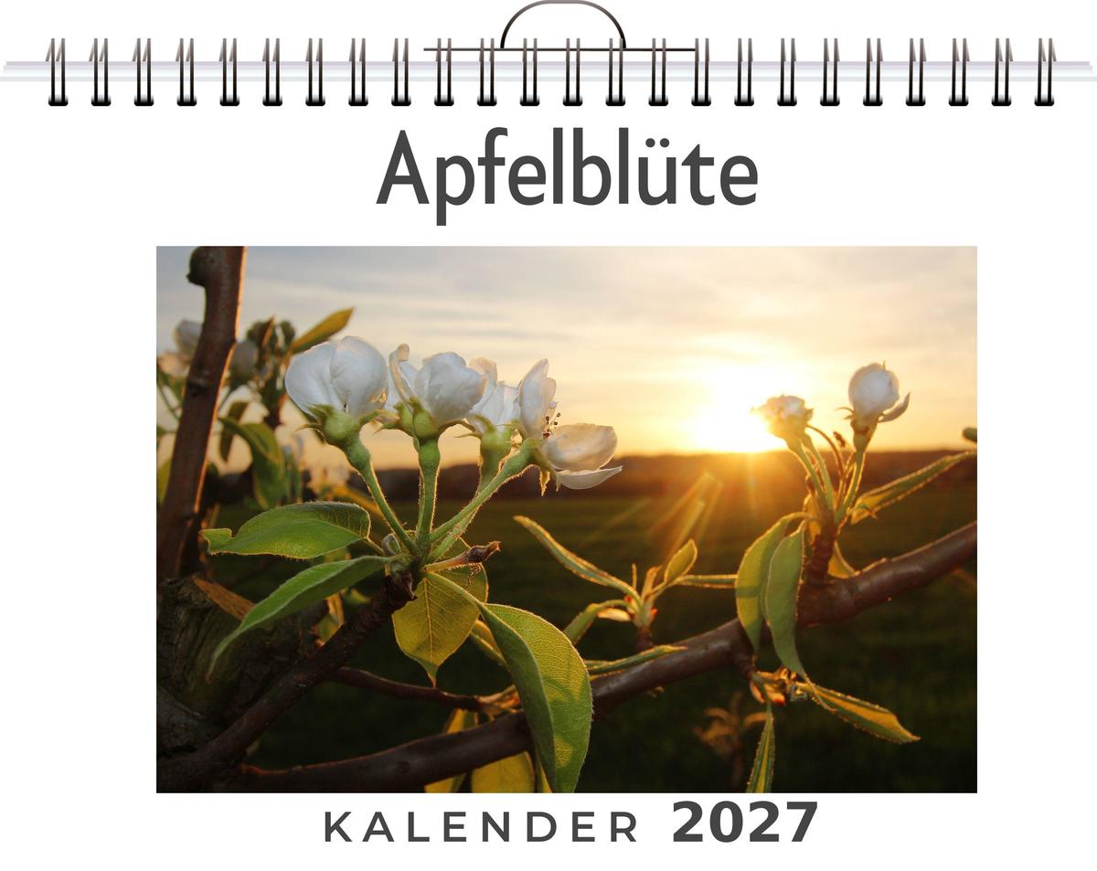 Apfelblüte