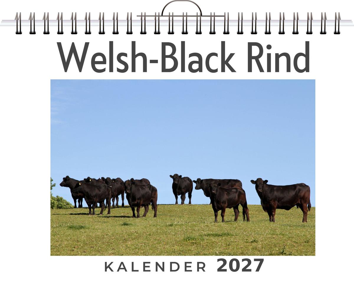 Welsh-Black Rind