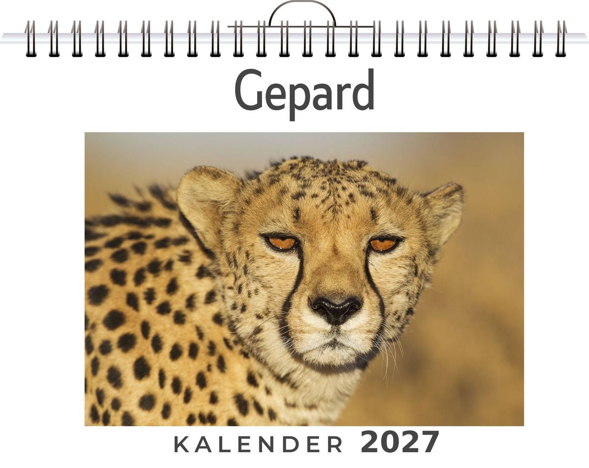Gepard