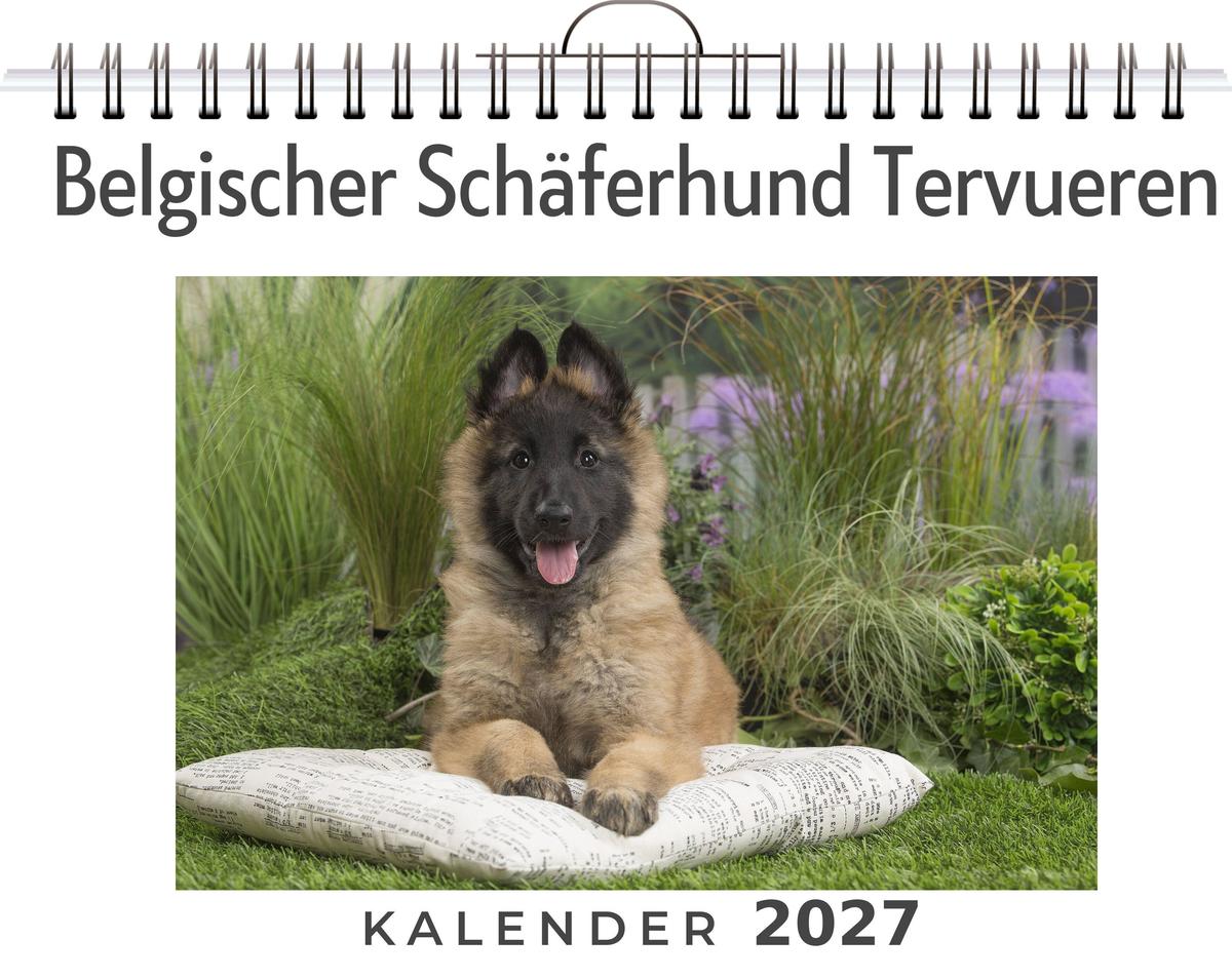 Belgischer Schäferhund Tervueren