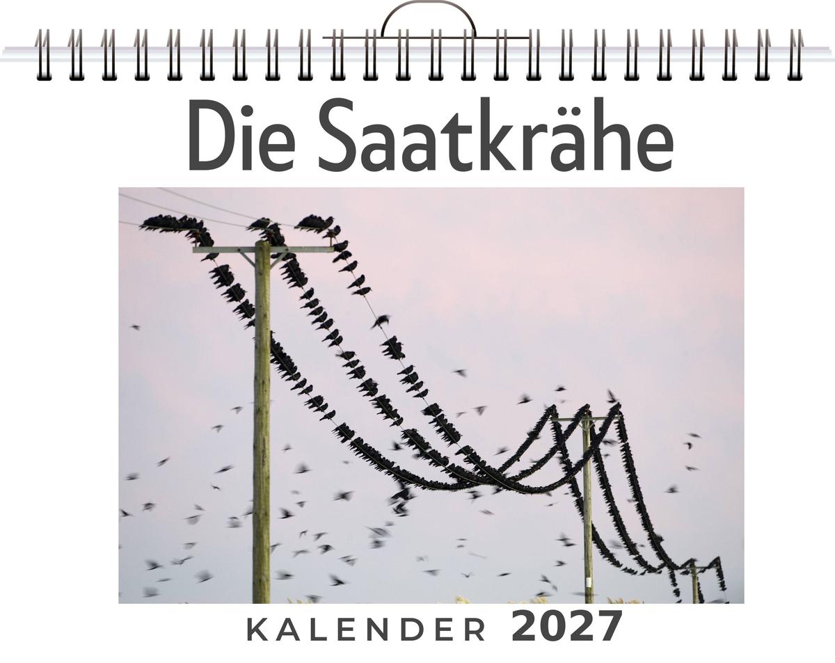 Die Saatkrähe