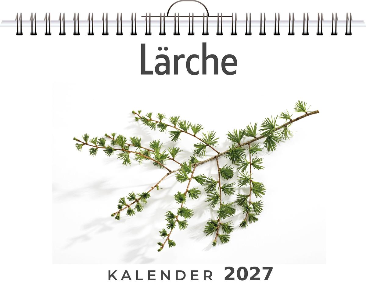 Lärche