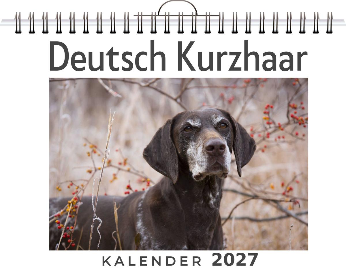 Deutsch Kurzhaar