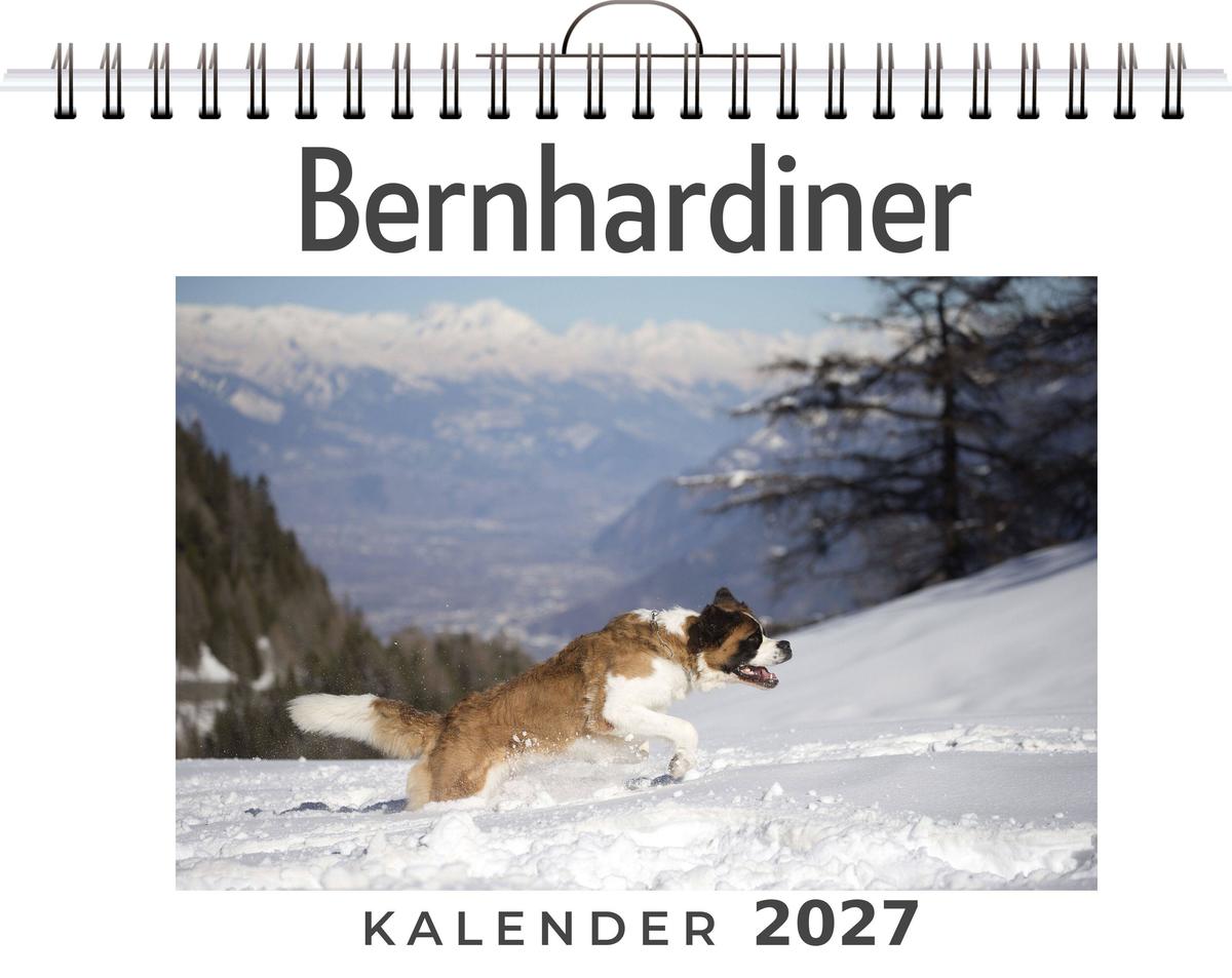 Bernhardiner