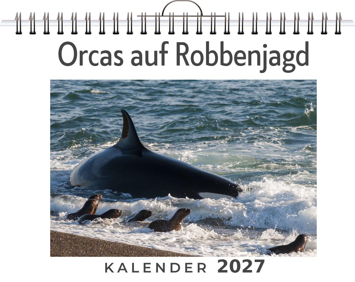 Orcas auf Robbenjagd