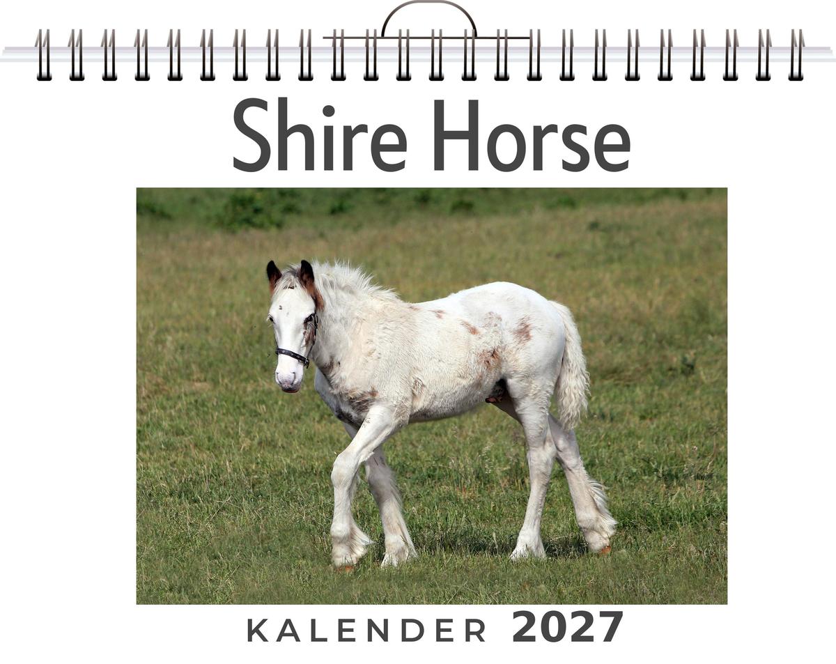Shire Horse