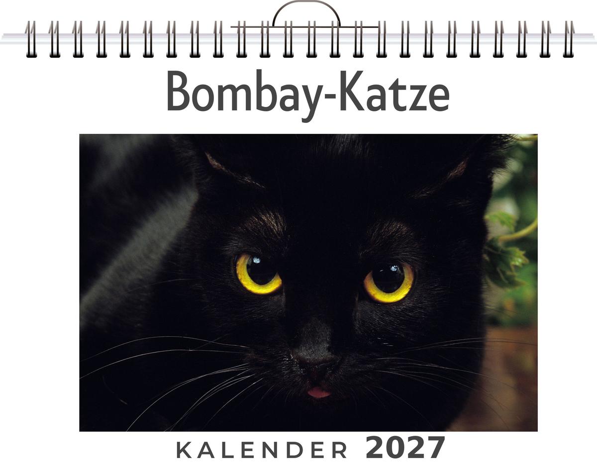 Bombay-Katze