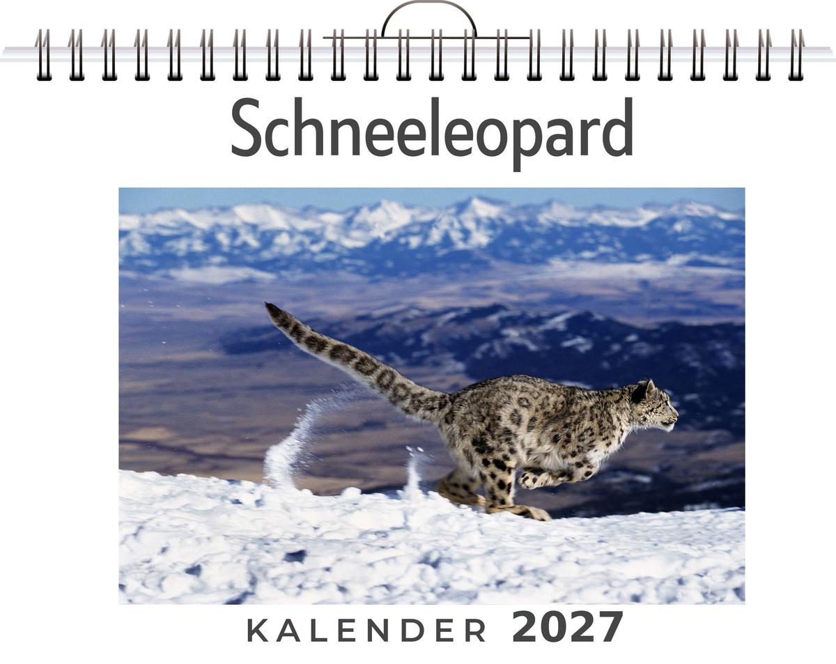 Schneeleopard