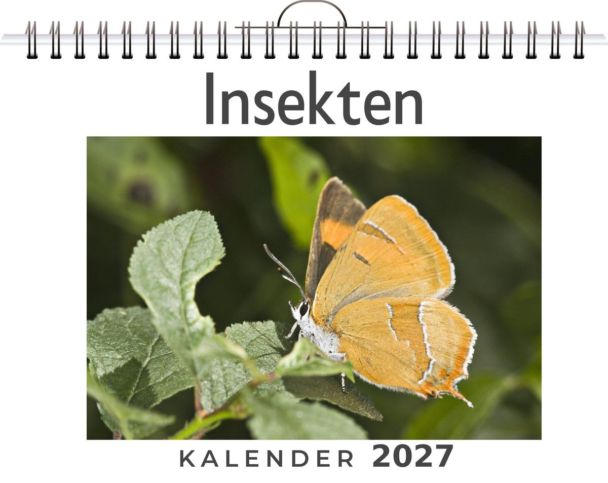 Insekten