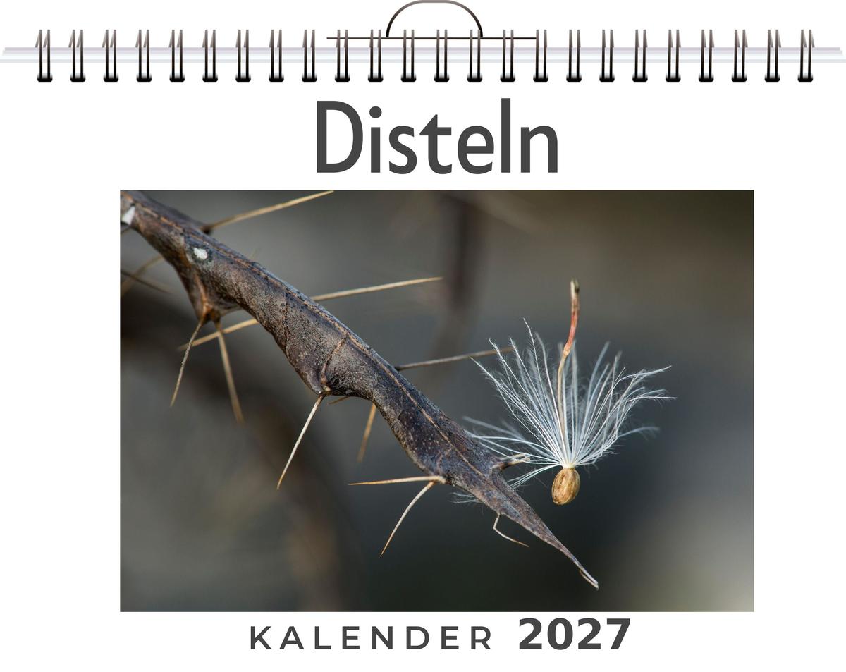Disteln