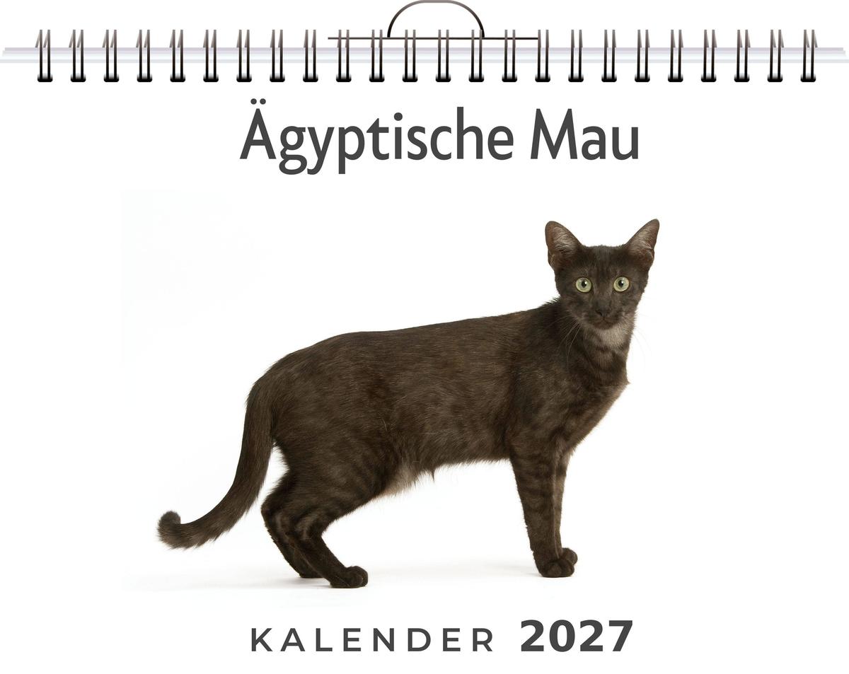 Ägyptische Mau