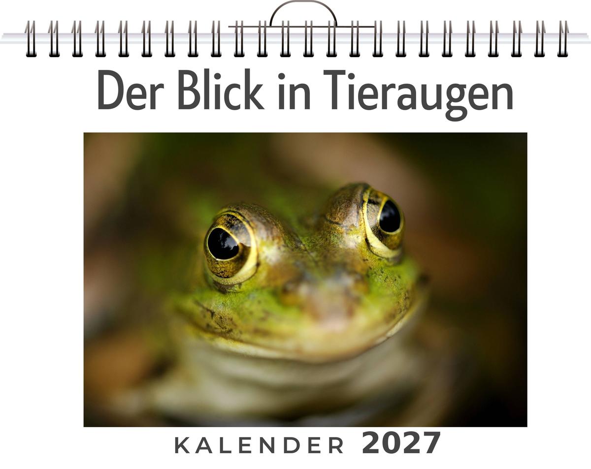 Der Blick in Tieraugen