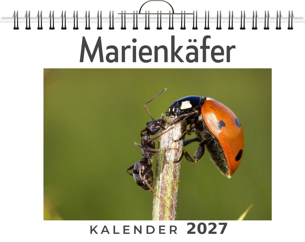 Marienkäfer