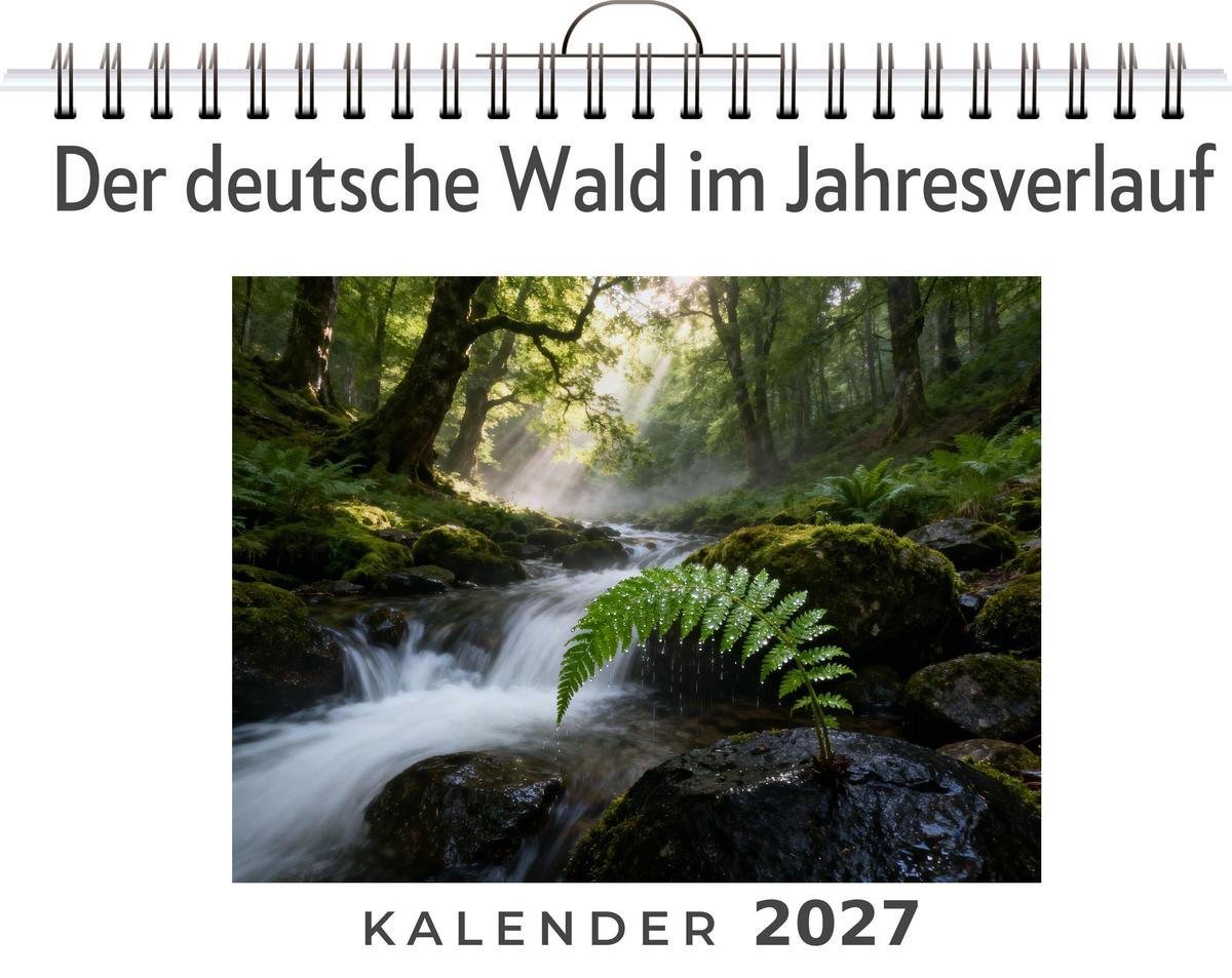 Der deutsche Wald im Jahresverlauf