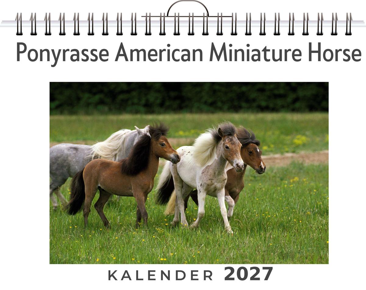 Ponyrasse American Miniature Horse