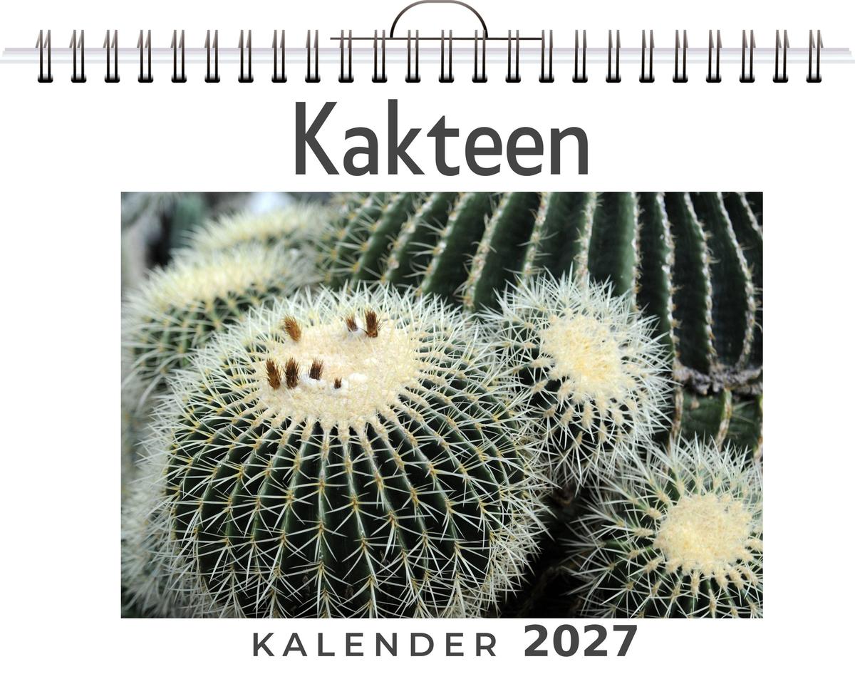 Kakteen