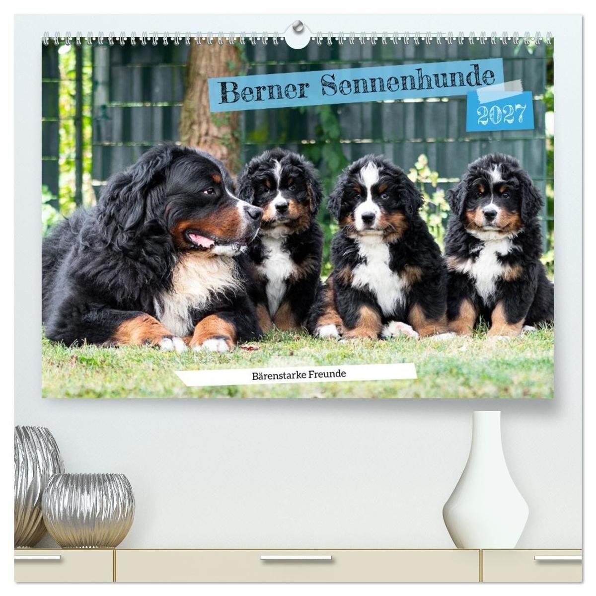 Berner Sennenhunde Bärenstarke Freunde (hochwertiger Premium Wandkalender 2027 DIN A2 quer) Kunstdruck in Hochglanz