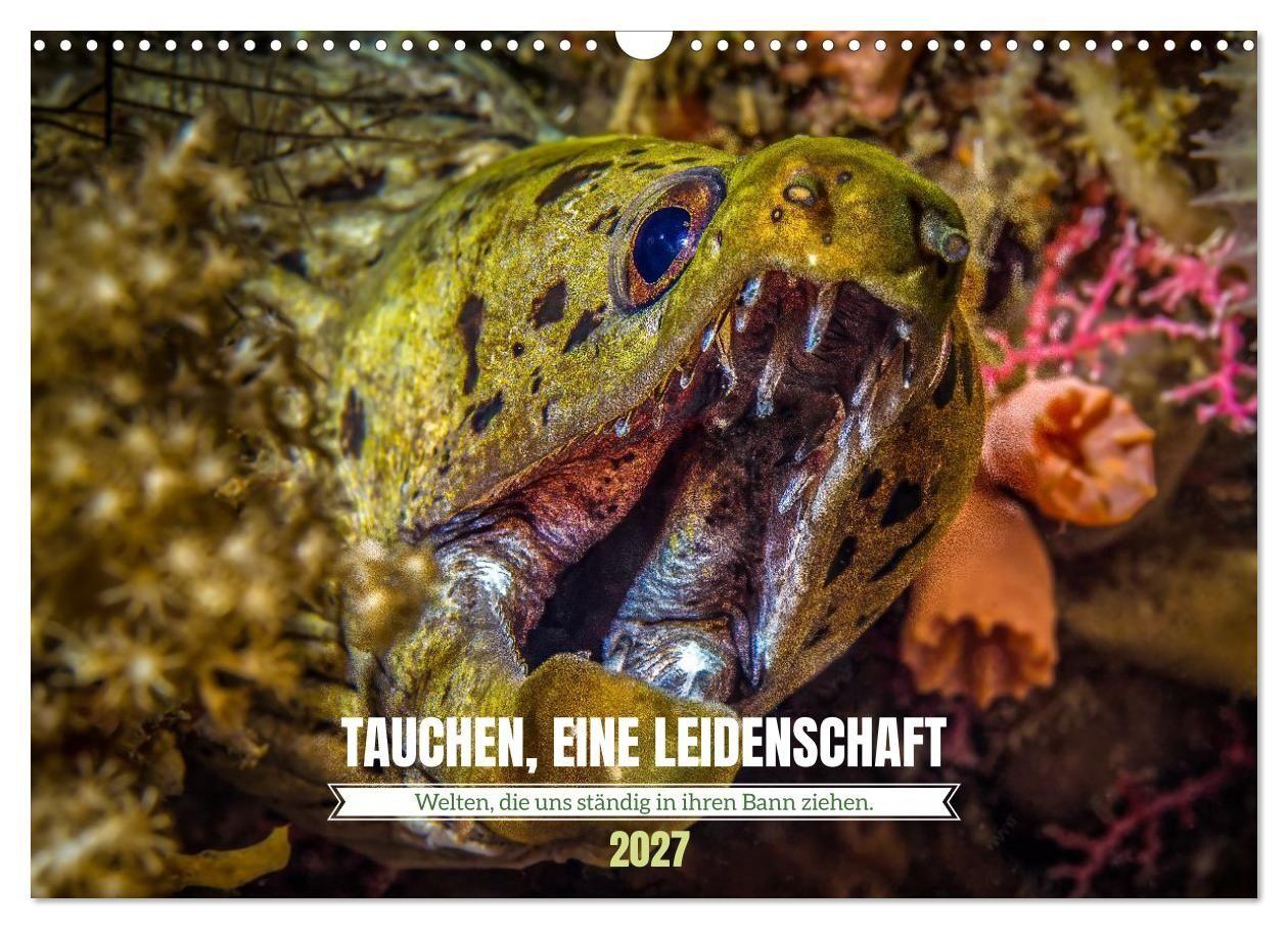 TAUCHEN EINE LEIDENSCHAFT (Wandkalender 2027 DIN A3 quer) CALVENDO Monatskalender