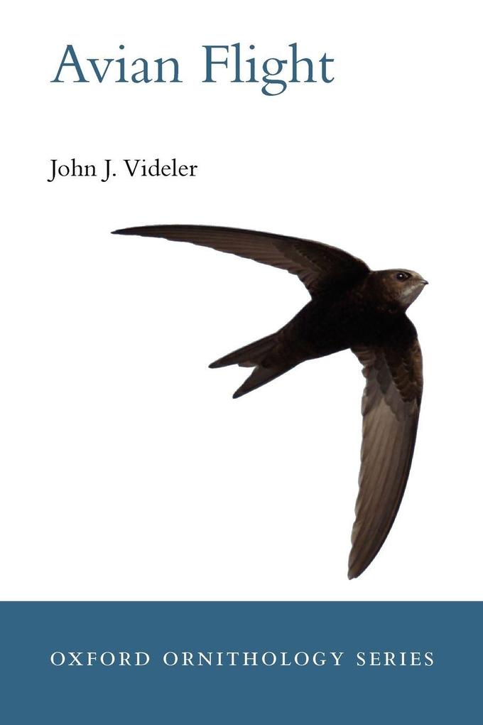 Avian Flight