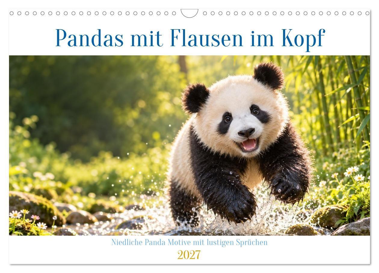 Pandas mit Flausen im Kopf (Wandkalender 2027 DIN A3 quer) CALVENDO Monatskalender