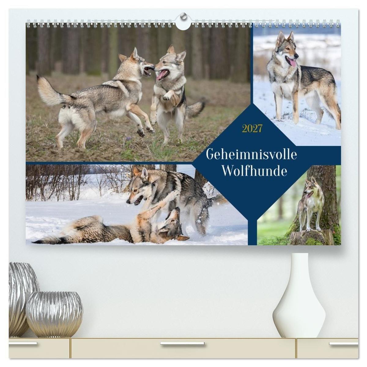 Geheimnisvolle Wolfhunde (hochwertiger Premium Wandkalender 2027 DIN A2 quer) Kunstdruck in Hochglanz