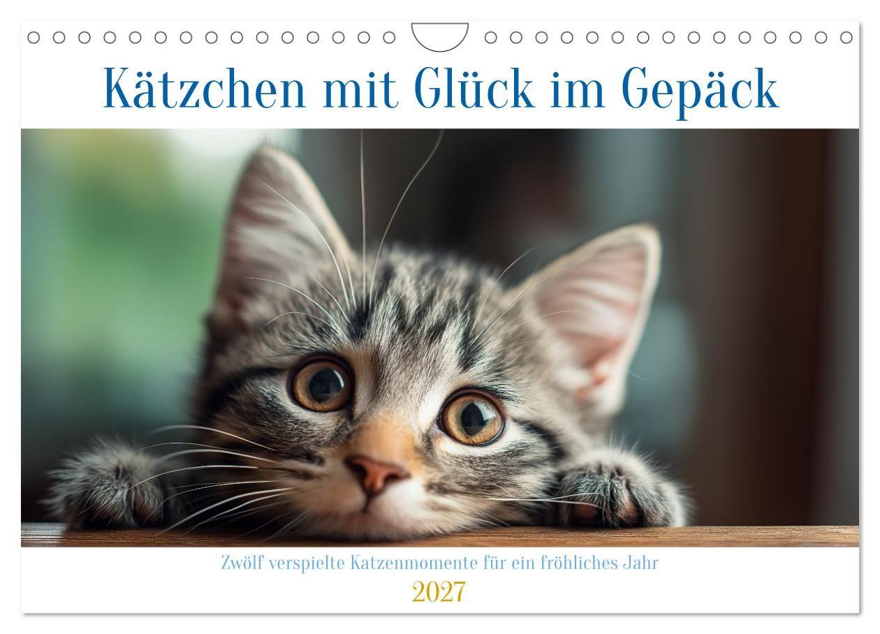 Kätzchen mit Glück im Gepäck (Wandkalender 2027 DIN A4 quer) CALVENDO Monatskalender
