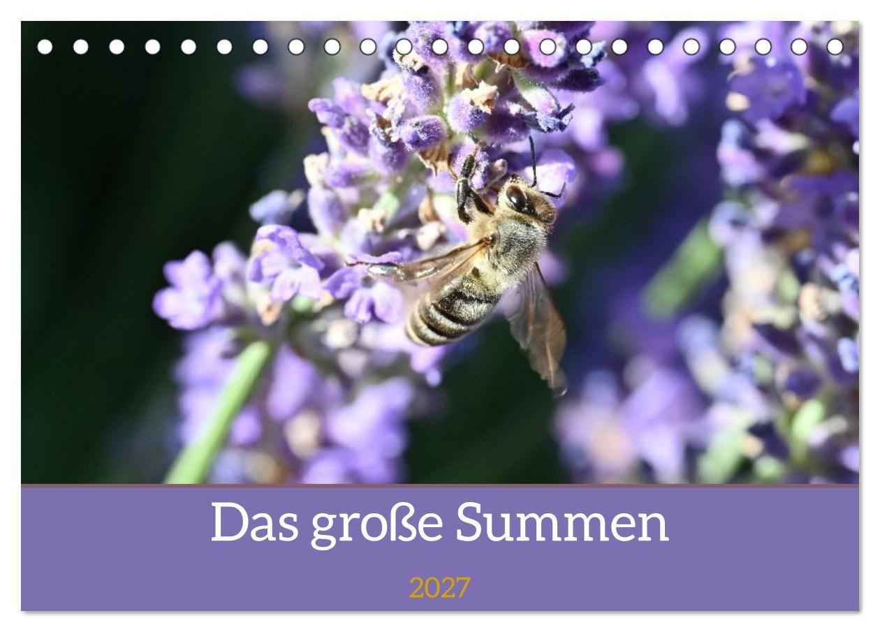 Das große Summen (Tischkalender 2027 DIN A5 quer) CALVENDO Monatskalender
