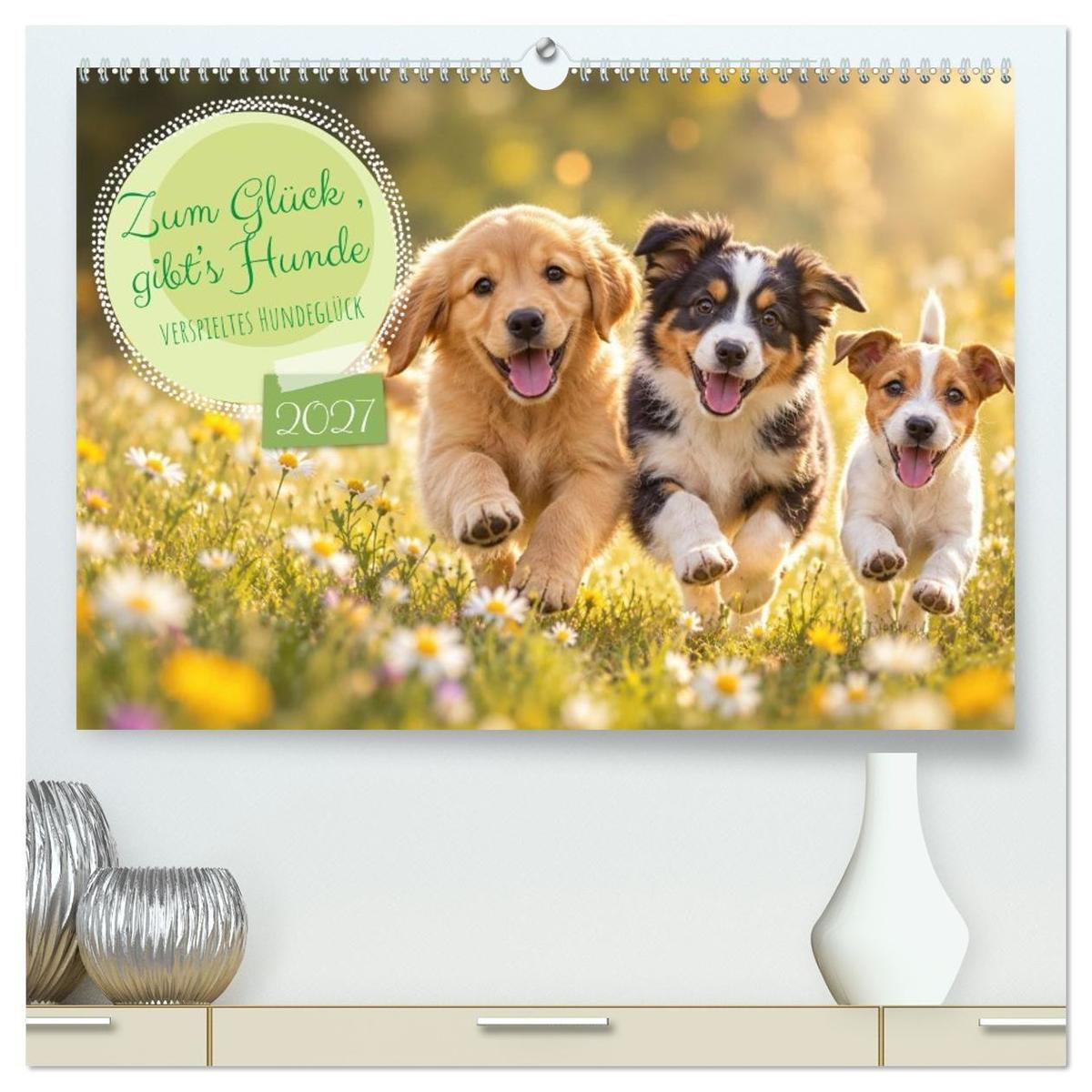 Zum Glück gibt's Hunde (hochwertiger Premium Wandkalender 2027 DIN A2 quer) Kunstdruck in Hochglanz