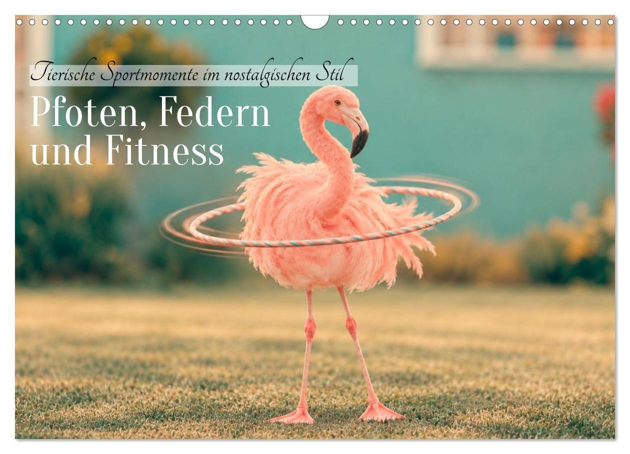 Pfoten Federn und Fitness (Wandkalender 2027 DIN A3 quer) CALVENDO Monatskalender