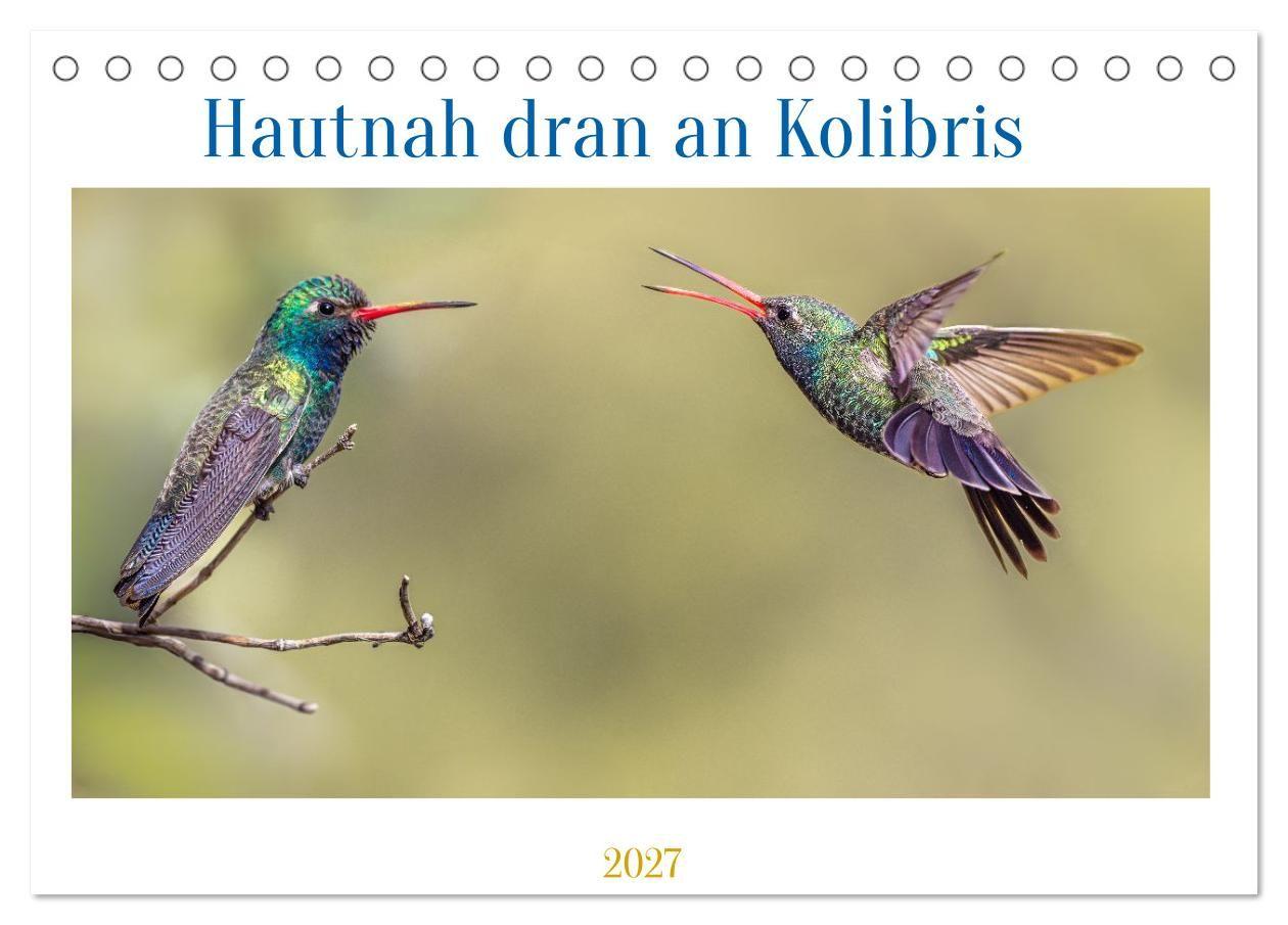 Traumhaft nah dran an Kolibris (Tischkalender 2027 DIN A5 quer) CALVENDO Monatskalender