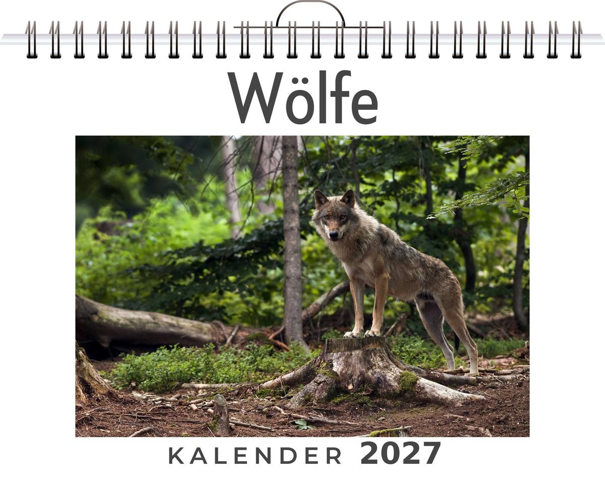 Wölfe