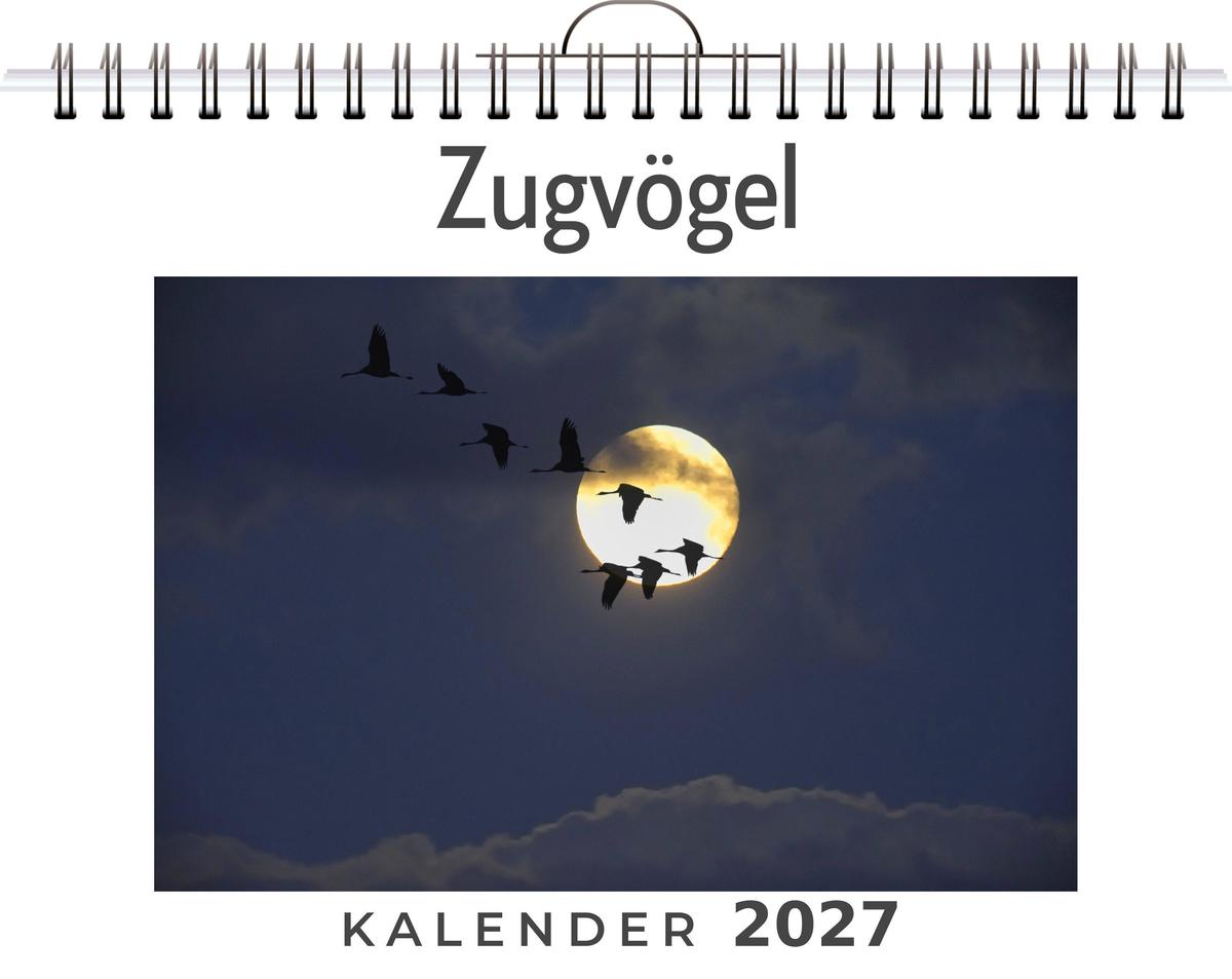 Zugvögel
