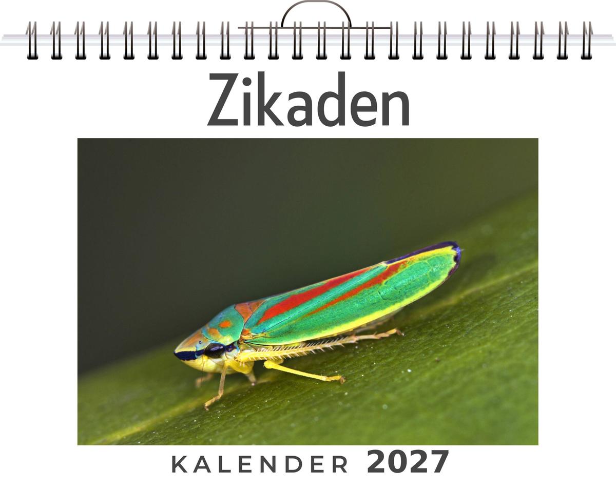 Zikaden