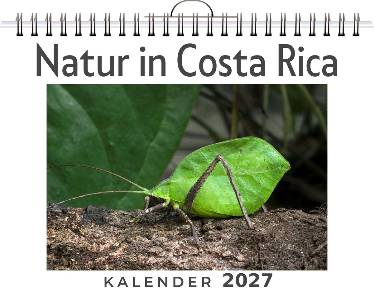 Natur in Costa Rica