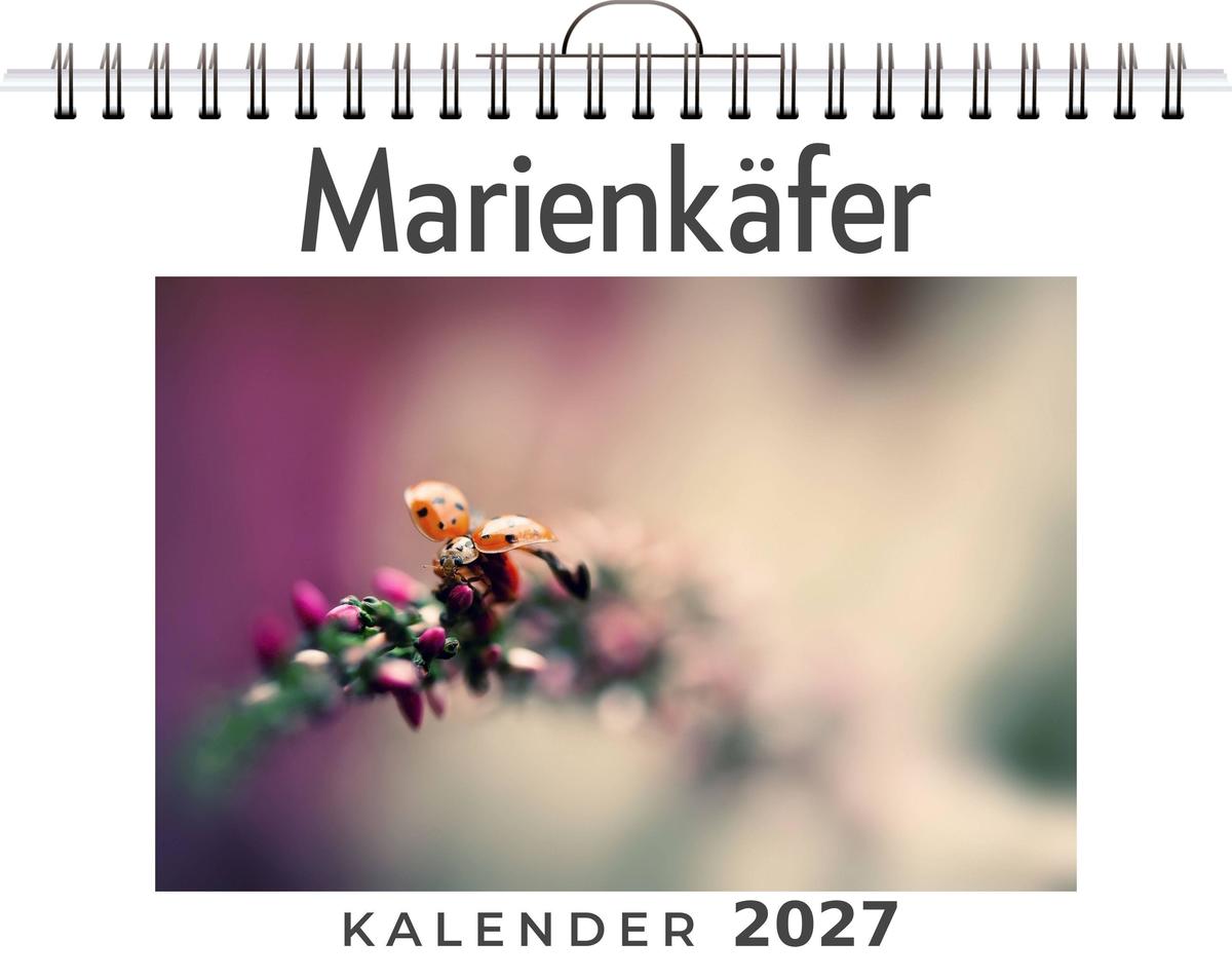 Marienkäfer