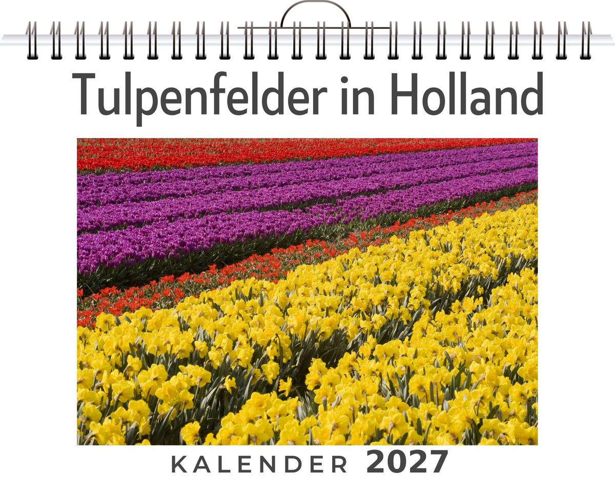 Tulpenfelder in Holland