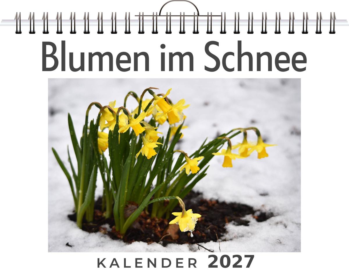 Blumen im Schnee