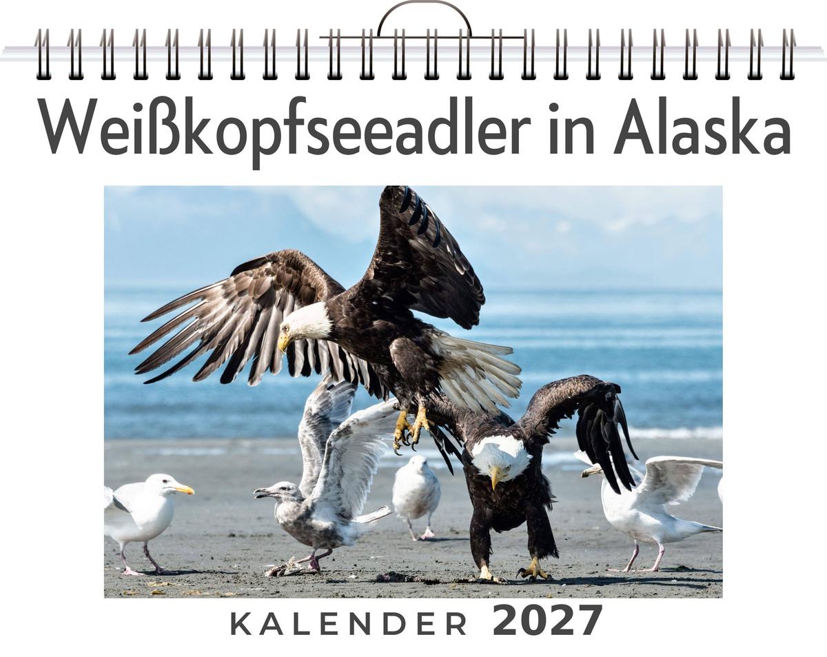 Weißkopfseeadler in Alaska
