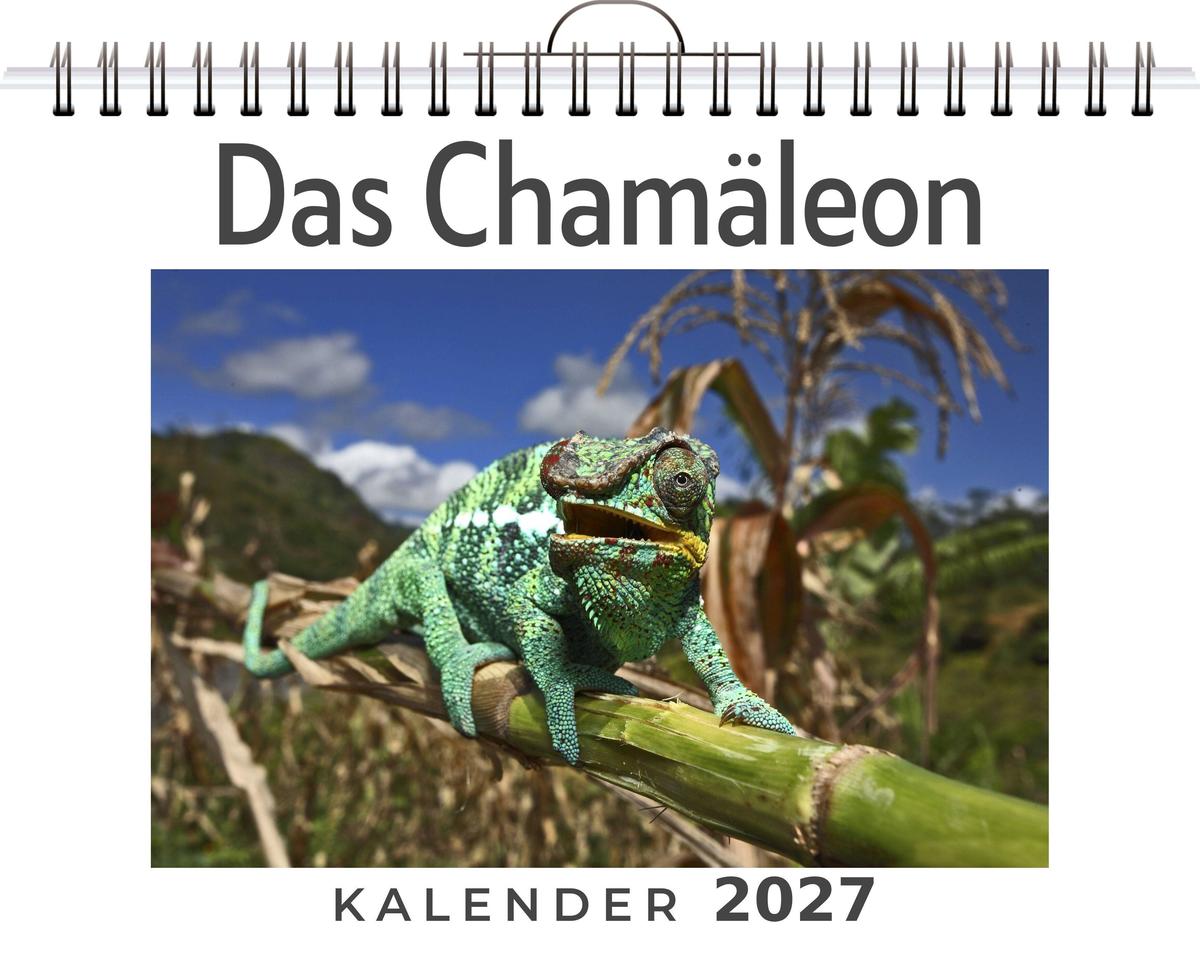 Das Chamäleon