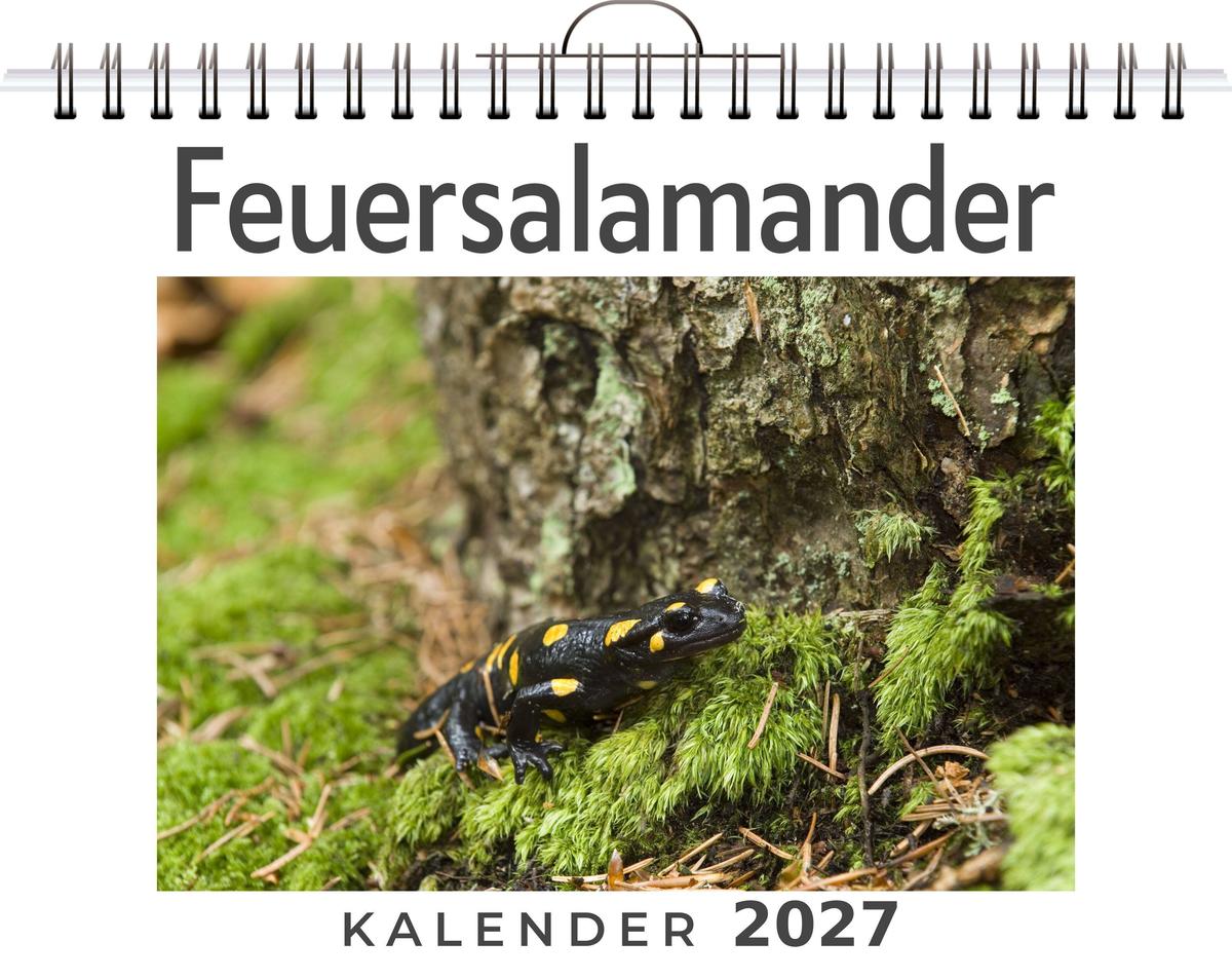 Feuersalamander