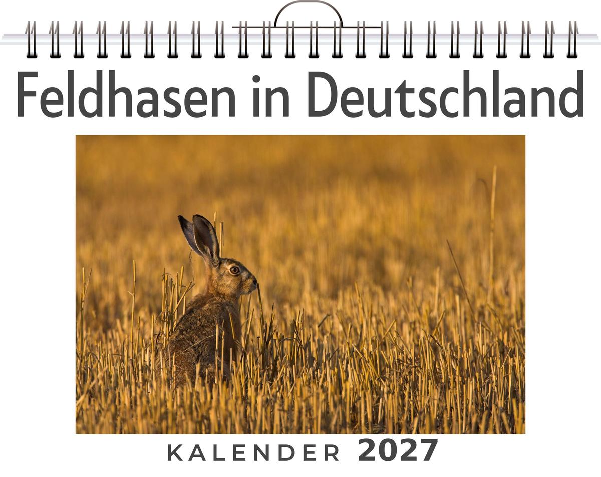 Feldhasen in Deutschland